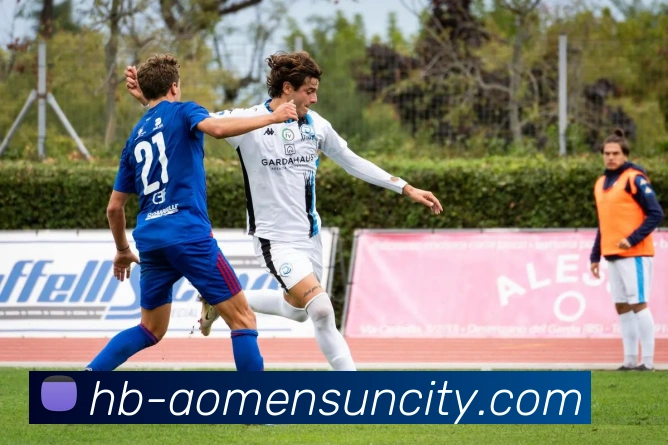 太阳城网站服务体系